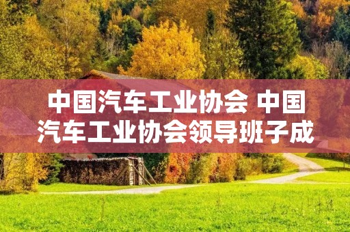 中国汽车工业协会 中国汽车工业协会领导班子成员 中国汽车工业协会 中国汽车工业协会领导班子成员