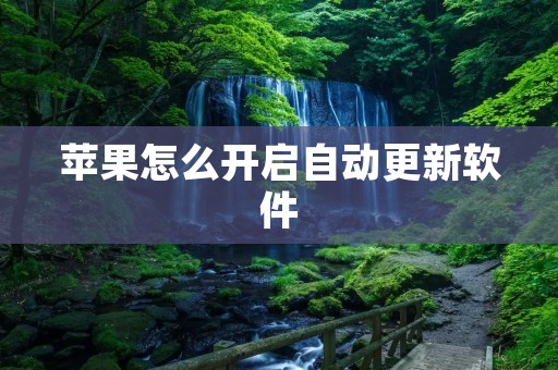 苹果怎么开启自动更新软件