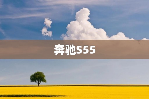 奔驰S55：豪华与性能的完美结合