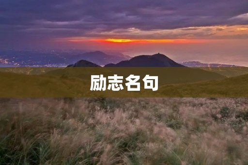 励志名句:激发人生动力的力量