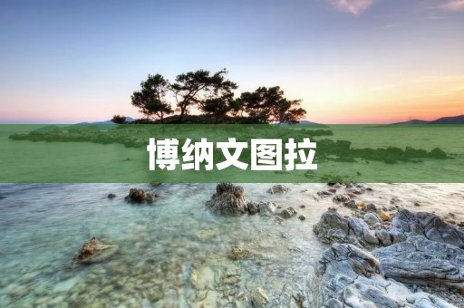 博纳文图拉：一个引领未来的文化中心