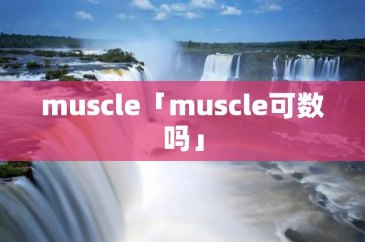 muscle「muscle可数吗」