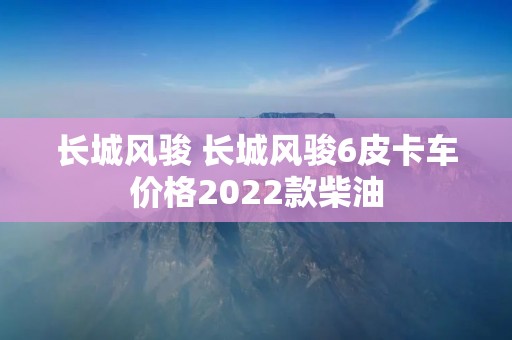 长城风骏 长城风骏6皮卡车价格2022款柴油