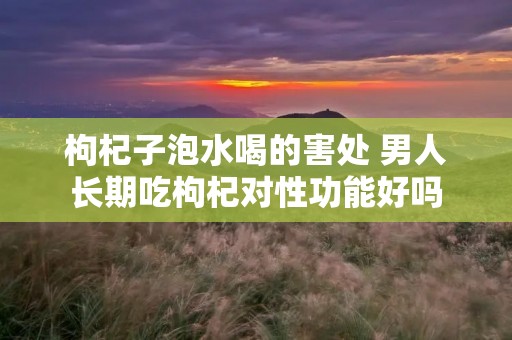 枸杞子泡水喝的害处 男人长期吃枸杞对性功能好吗