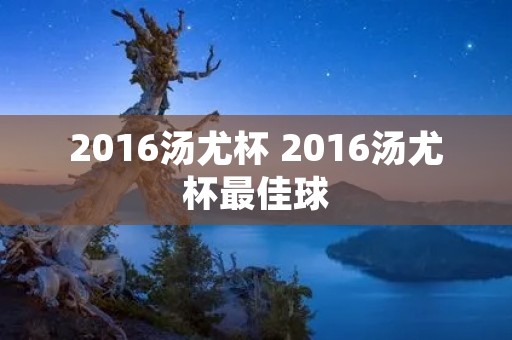 2016汤尤杯 2016汤尤杯最佳球