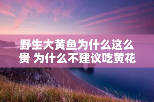 野生大黄鱼为什么这么贵 为什么不建议吃黄花鱼