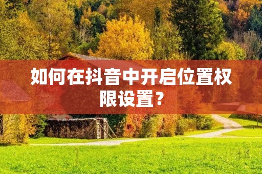 如何在抖音中开启位置权限设置?