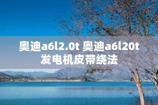 奥迪a6l2.0t 奥迪a6l20t发电机皮带绕法