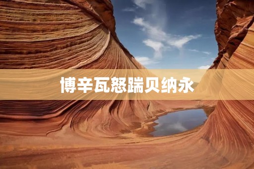 博辛瓦怒踹贝纳永:足球场上的暴力事件 博辛瓦怒踹贝纳永:足球场上的暴力事件