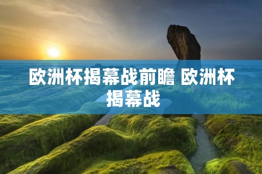 欧洲杯揭幕战前瞻 欧洲杯 揭幕战