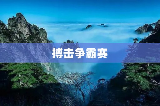 搏击争霸赛：打破体育界的传统