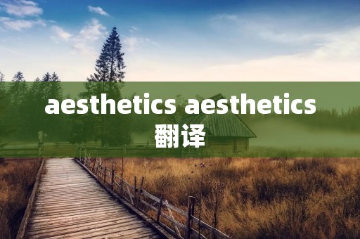 aesthetics aesthetics翻译