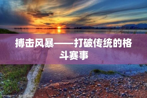 搏击风暴——打破传统的格斗赛事