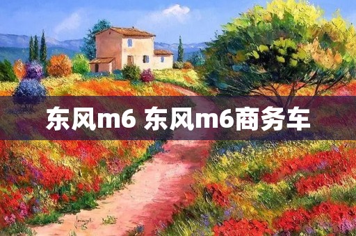 东风m6 东风m6商务车 东风m6 东风m6商务车