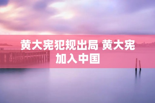 黄大宪犯规出局 黄大宪加入中国 黄大宪犯规出局 黄大宪加入中国