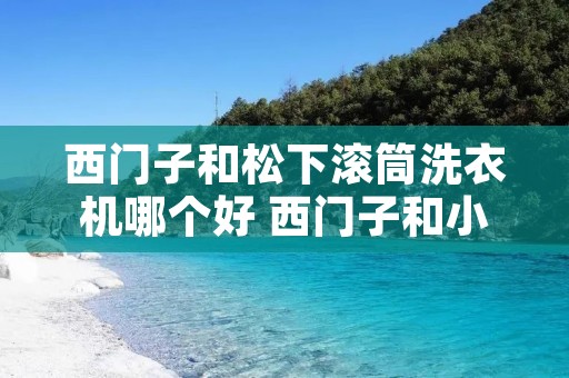 西门子和松下滚筒洗衣机哪个好 西门子和小天鹅滚筒洗衣机哪个好