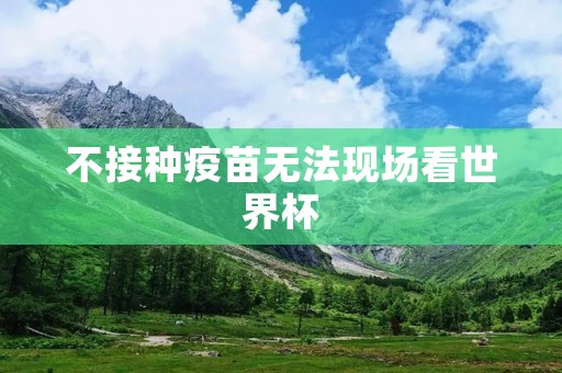 不接种疫苗无法现场看世界杯