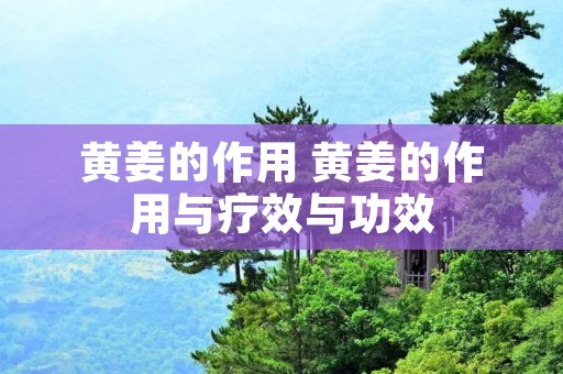 黄姜的作用 黄姜的作用与疗效与功效