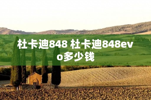 杜卡迪848 杜卡迪848evo多少钱