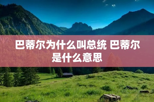 巴蒂尔为什么叫总统 巴蒂尔是什么意思