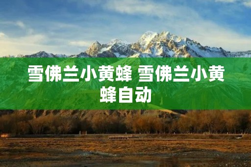 雪佛兰小黄蜂 雪佛兰小黄蜂自动