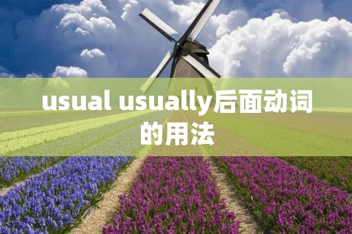 usual usually后面动词的用法 usual usually后面动词的用法