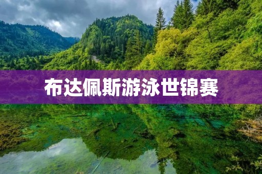 布达佩斯游泳世锦赛：水中的盛宴