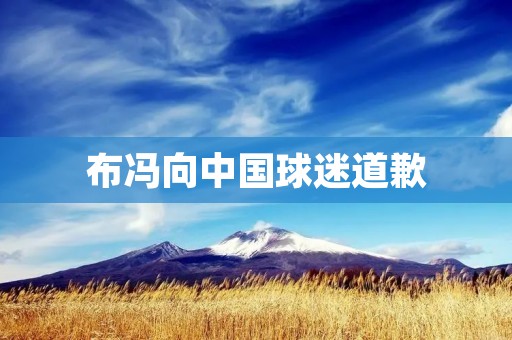 布冯向中国球迷道歉：球员的行为应该是积极向上的