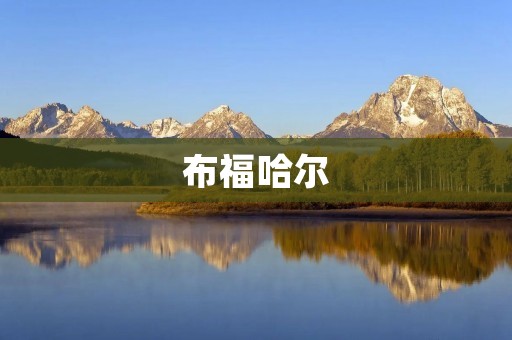 布福哈尔：探索古老文化与现代科技的交融