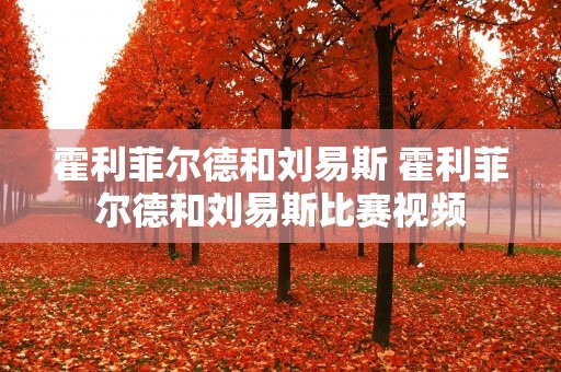 霍利菲尔德和刘易斯 霍利菲尔德和刘易斯比赛视频 霍利菲尔德和刘易斯 霍利菲尔德和刘易斯比赛视频