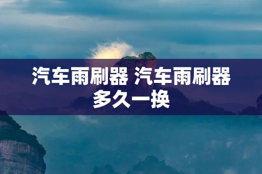 汽车雨刷器 汽车雨刷器多久一换
