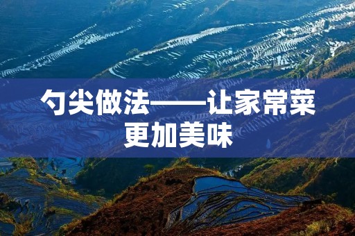 勺尖做法——让家常菜更加美味 勺尖做法——让家常菜更加美味