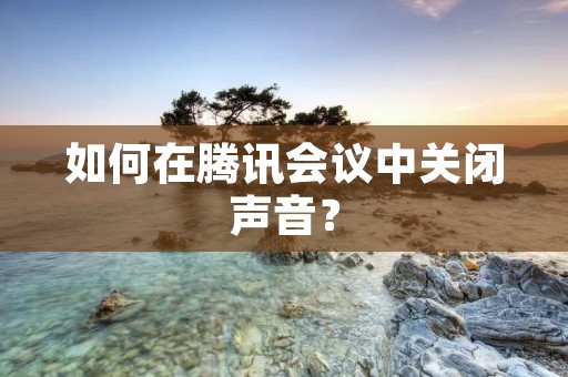 如何在腾讯会议中关闭声音？