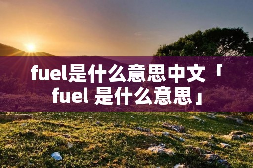 fuel是什么意思中文「fuel 是什么意思」