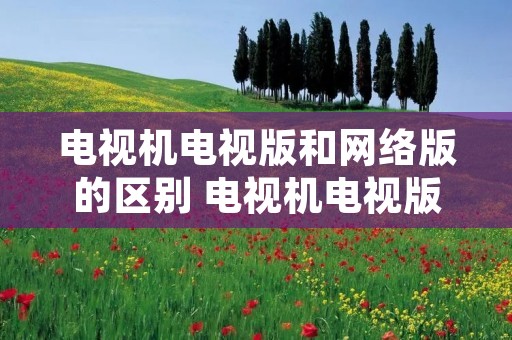 电视机电视版和网络版的区别 电视机电视版和网络版哪个好 电视机电视版和网络版的区别 电视机电视版和网络版哪个好