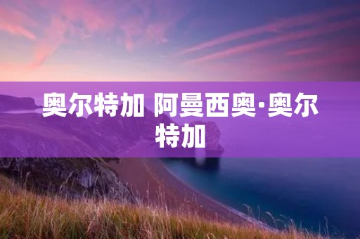 奥尔特加 阿曼西奥·奥尔特加