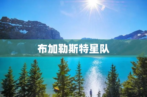 布加勒斯特星队：罗马尼亚足坛的一支传奇之队