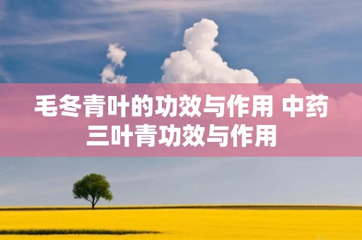 毛冬青叶的功效与作用 中药三叶青功效与作用