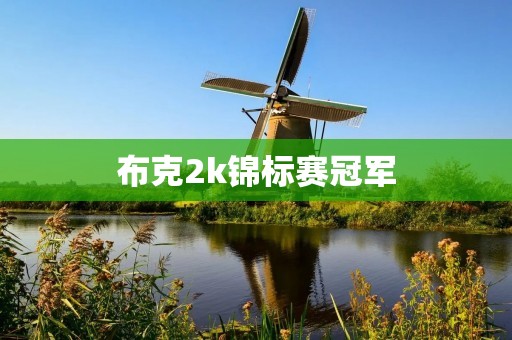 布克2k锦标赛冠军:凯尔特人的新星杰森·塔图姆 布克2k锦标赛冠军:凯尔特人的新星杰森·塔图姆