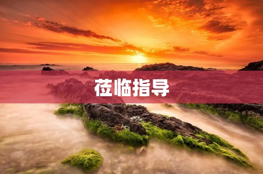 莅临指导:一次难忘的学习经历