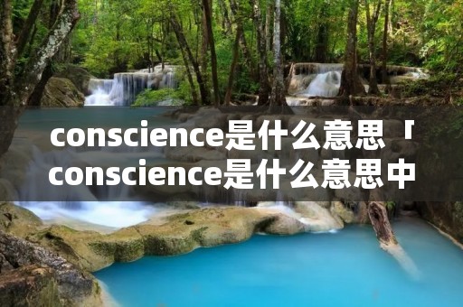 conscience是什么意思「conscience是什么意思中文翻译」