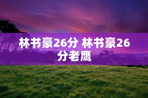 林书豪26分 林书豪26分老鹰