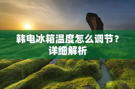 韩电冰箱温度怎么调节?详细解析 韩电冰箱温度怎么调节?详细解析