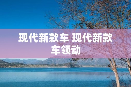 现代新款车 现代新款车领动 现代新款车 现代新款车领动