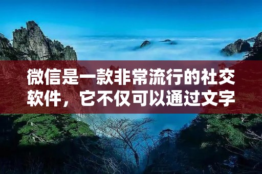 微信是一款非常流行的社交软件，它不仅可以通过文字、语音、图片、视频等多种方式进行交流，还可以设置朋友权限，来保护用户的个人信息和隐私。那么，在微信里怎么设置朋友权限呢？