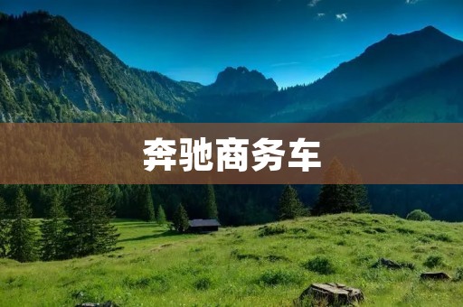 奔驰商务车：豪华之选