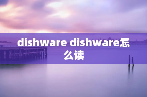 dishware dishware怎么读