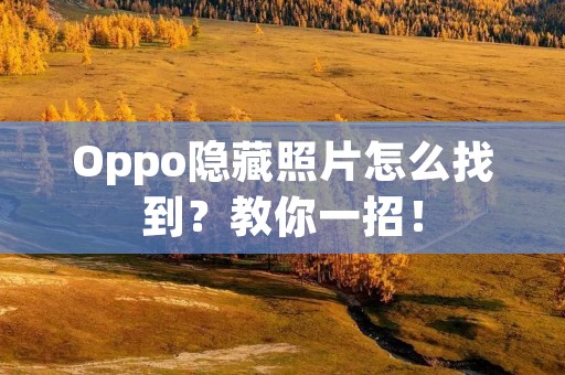 Oppo隐藏照片怎么找到？教你一招！