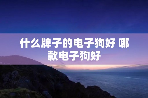 什么牌子的电子狗好 哪款电子狗好