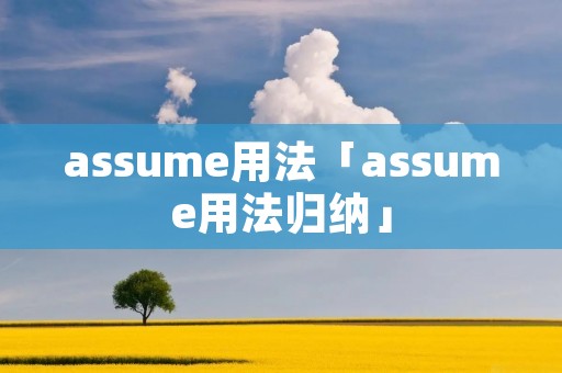 assume用法「assume用法归纳」